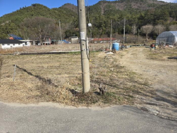 전라남도 장흥군 안양면 해창리 산50-5 임야 경매 사진 14