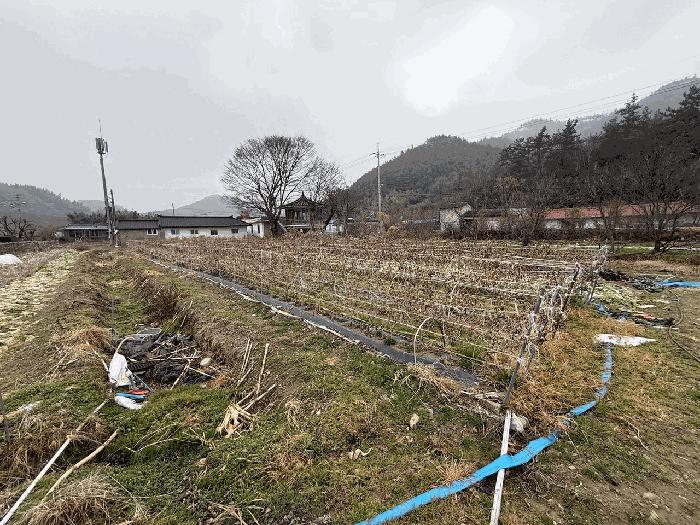 전라남도 장흥군 안양면 해창리 산50-5 임야 경매 사진 3