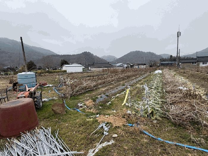 전라남도 장흥군 안양면 해창리 산50-5 임야 경매 사진 4