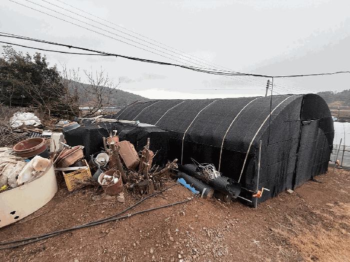 전라남도 장흥군 안양면 해창리 산50-5 임야 경매 사진 5
