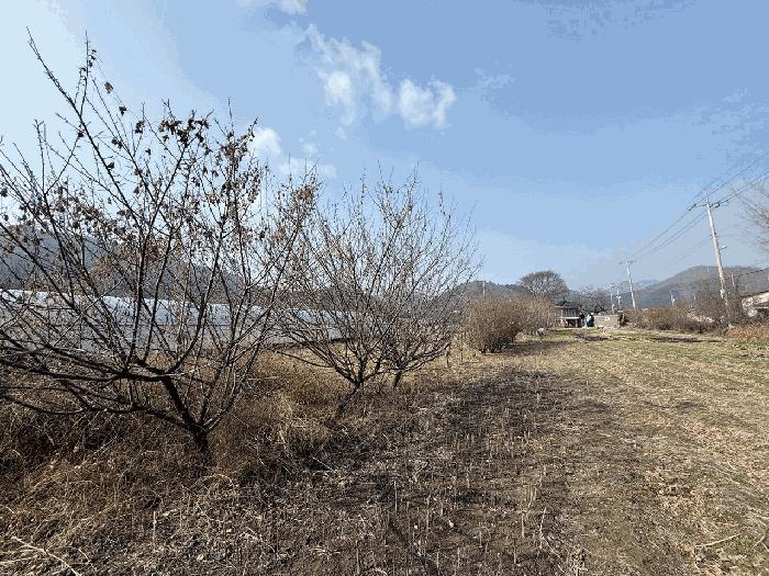 전라남도 장흥군 안양면 해창리 산50-5 임야 경매 사진 7