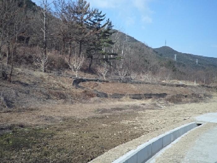경상남도 창녕군 고암면 계상리 106 전 경매 사진 13