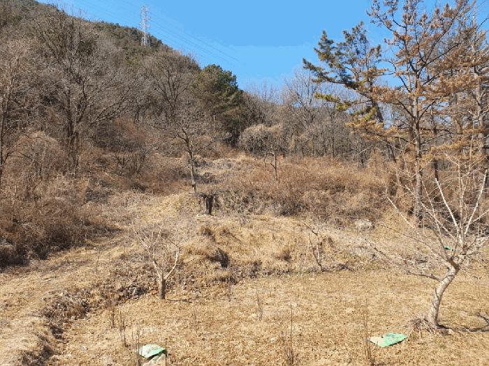 경상남도 창녕군 고암면 계상리 106 전 경매 사진 4
