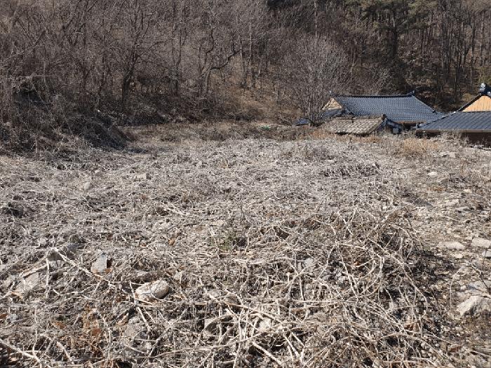 경상남도 창녕군 고암면 계상리 106 전 경매 사진 5