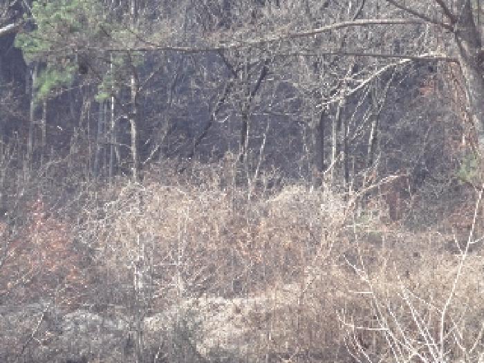 경상남도 창녕군 고암면 계상리 107 답 경매 사진 14