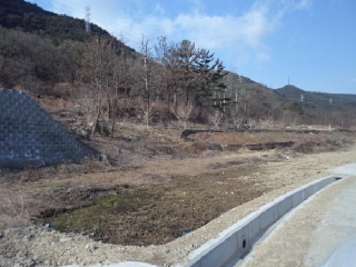 경상남도 창녕군 고암면 계상리 164 대지 경매 사진 12