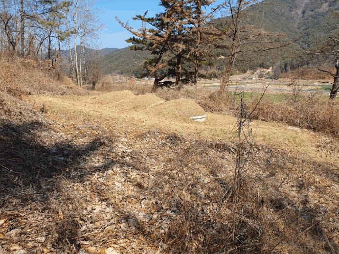 경상남도 창녕군 고암면 계상리 164 대지 경매 사진 8