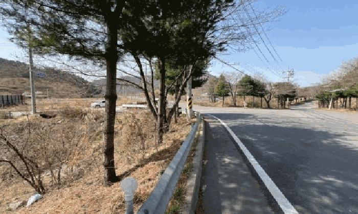 경상남도 밀양시 초동면 오방리 619-1 전 경매 사진 2