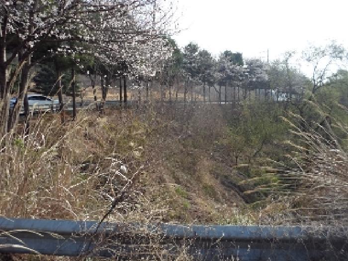 경상남도 밀양시 초동면 오방리 619-1 전 경매 사진 3