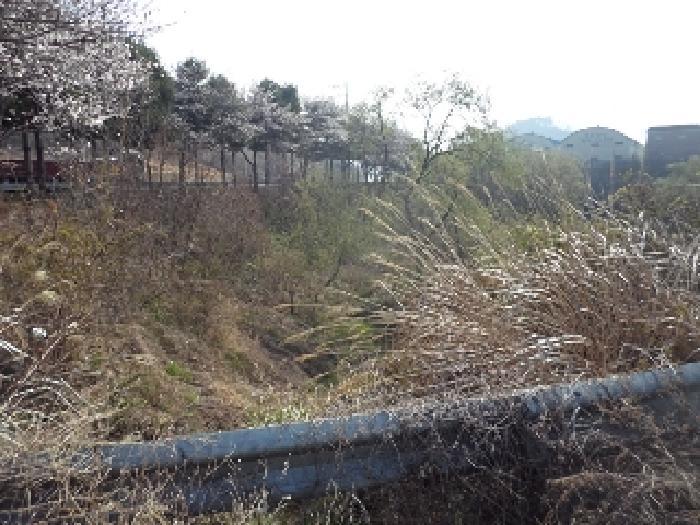 경상남도 밀양시 초동면 오방리 619-1 전 경매 사진 4