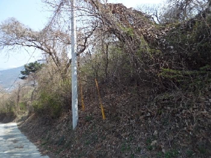 경상남도 창녕군 남지읍 성사리 1097-2 대지 경매 사진 17