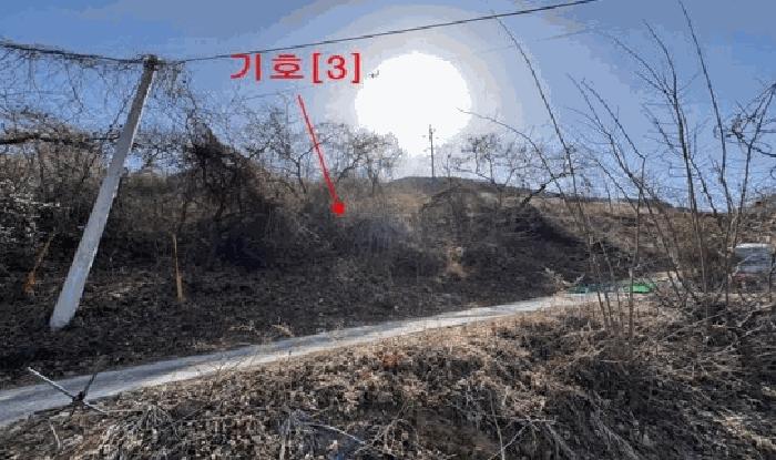 경상남도 밀양시 단장면 무릉리 1133-3 임야 경매 사진 4