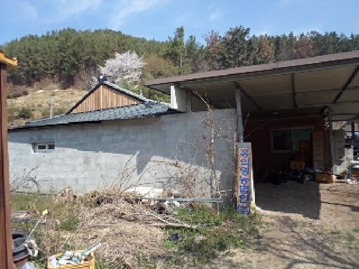 경상남도 밀양시 단장면 무릉리 산152 임야 경매 사진 11
