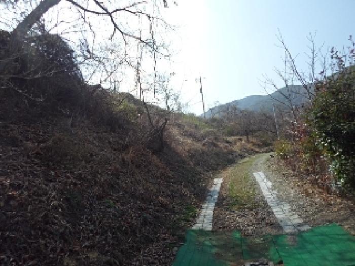 경상남도 밀양시 단장면 무릉리 산152 임야 경매 사진 15