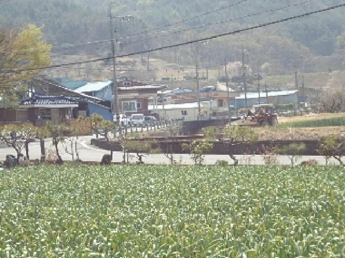 경상남도 창녕군 부곡면 청암리 298-4 답 경매 사진 11