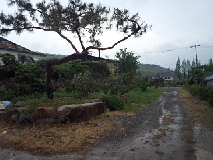 경상남도 밀양시 초동면 성만리 368 전 경매 사진 11