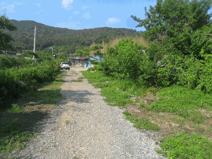 경상남도 밀양시 초동면 성만리 368 전 경매 사진 4