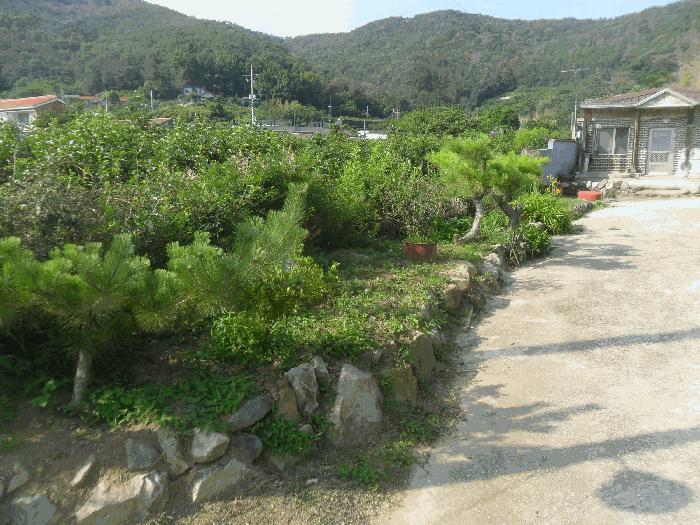 경상남도 밀양시 초동면 성만리 368 전 경매 사진 7
