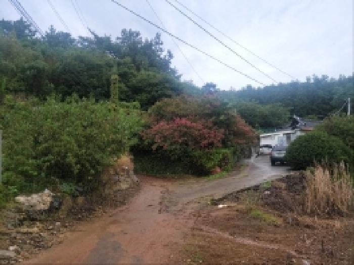 전라남도 고흥군 과역면 백일리 산745 주택 경매 사진 12
