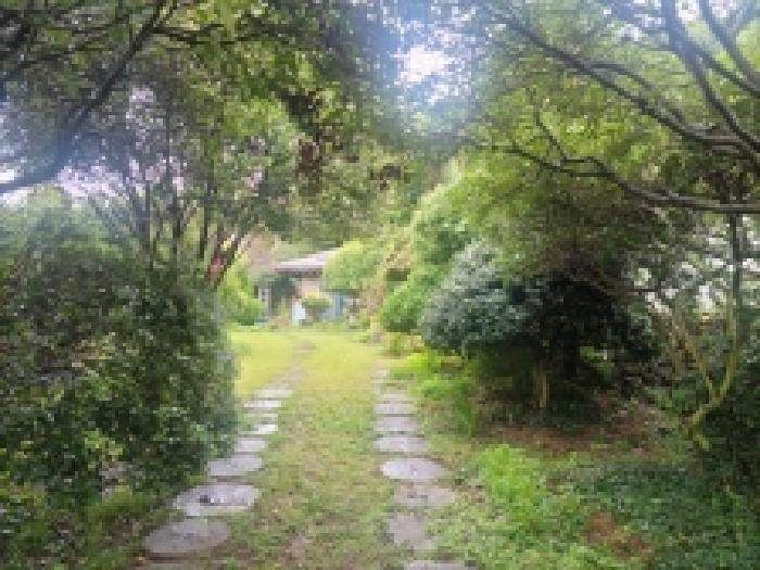 전라남도 고흥군 과역면 백일리 산745 주택 경매 사진 16