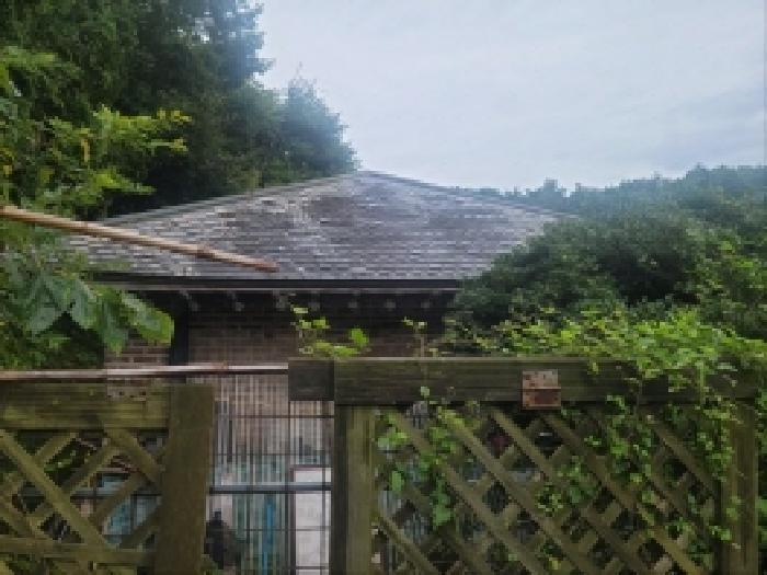 전라남도 고흥군 과역면 백일리 산745 주택 경매 사진 20