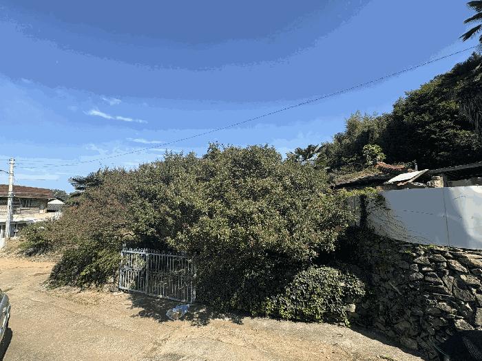 전라남도 고흥군 과역면 백일리 산745 주택 경매 사진 3
