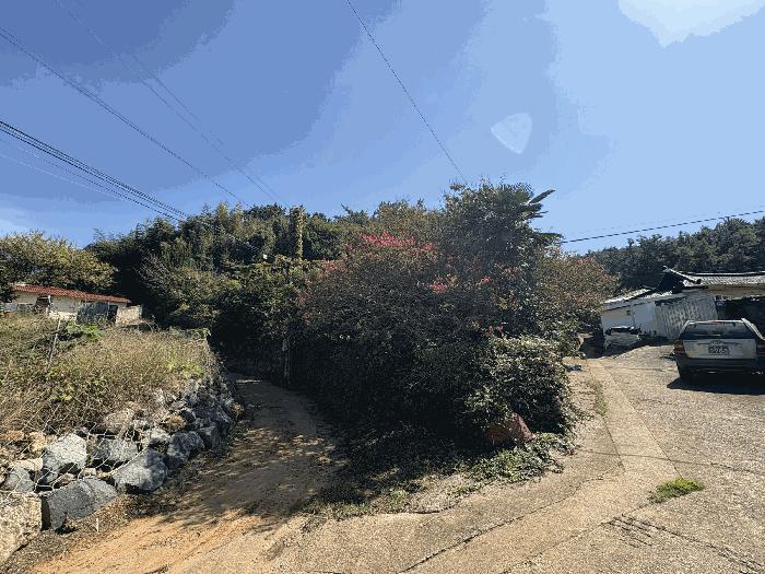 전라남도 고흥군 과역면 백일리 산745 주택 경매 사진 7
