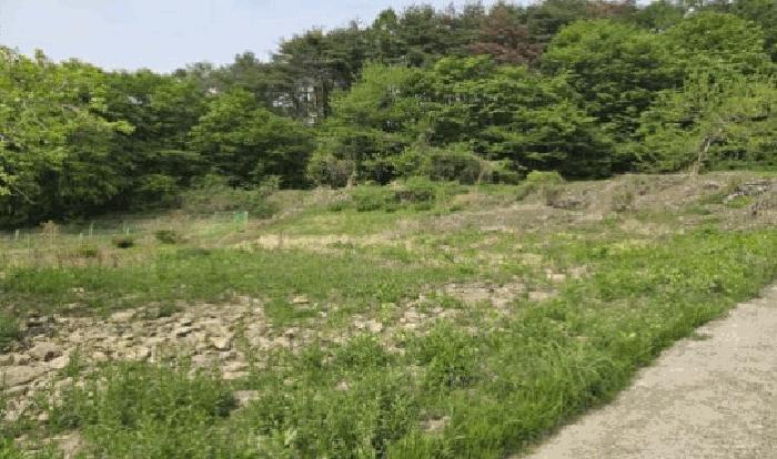경상남도 밀양시 상동면 도곡리 383-1 전 경매 사진 2