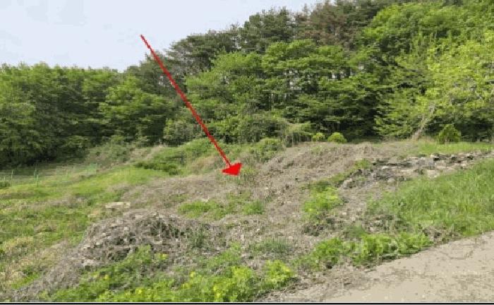 경상남도 밀양시 상동면 도곡리 383-1 전 경매 사진 3