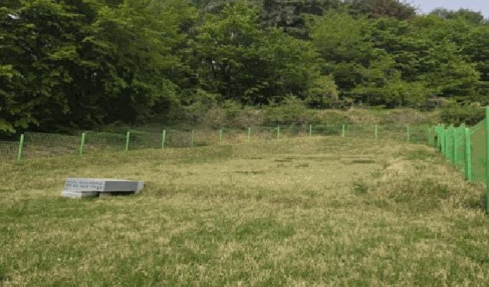 경상남도 밀양시 상동면 도곡리 383-1 전 경매 사진 8