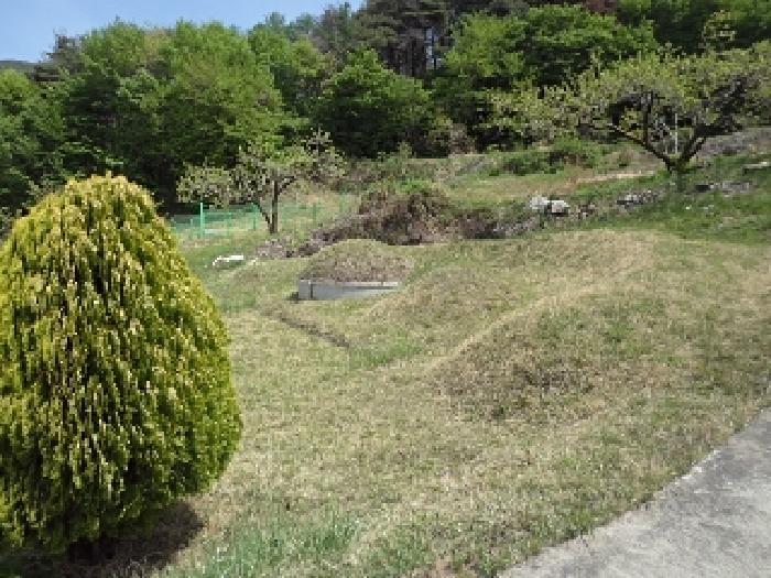 경상남도 밀양시 상동면 도곡리 383-5 전 경매 사진 17