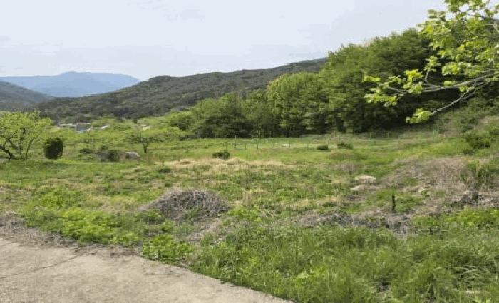 경상남도 밀양시 상동면 도곡리 383-5 전 경매 사진 9