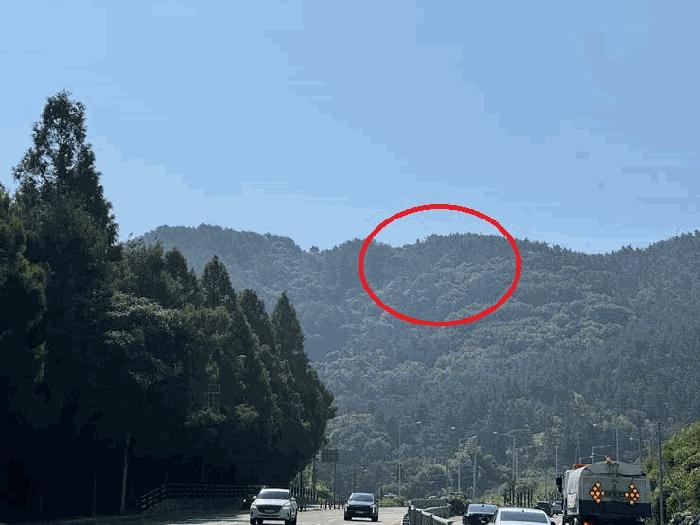경상남도 거제시 아양동 산30 임야 경매 사진 4