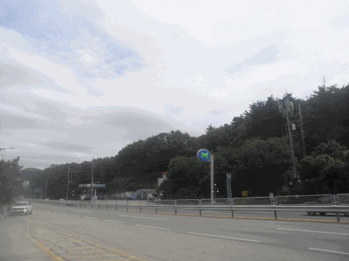 경상남도 거제시 장평동 686-4 임야 경매 사진 8