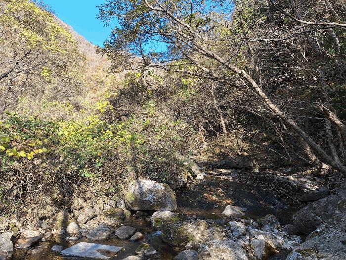 전라남도 장흥군 안양면 학송리 산75 임야 경매 사진 4