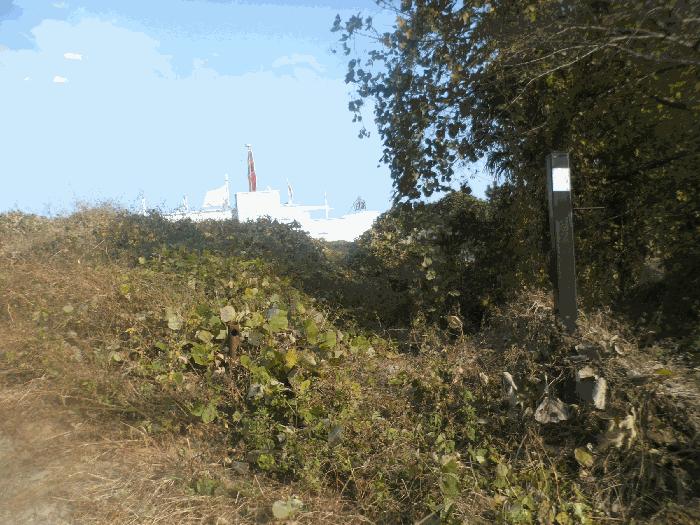 경상남도 거제시 장목면 관포리 119-2 전 경매 사진 2