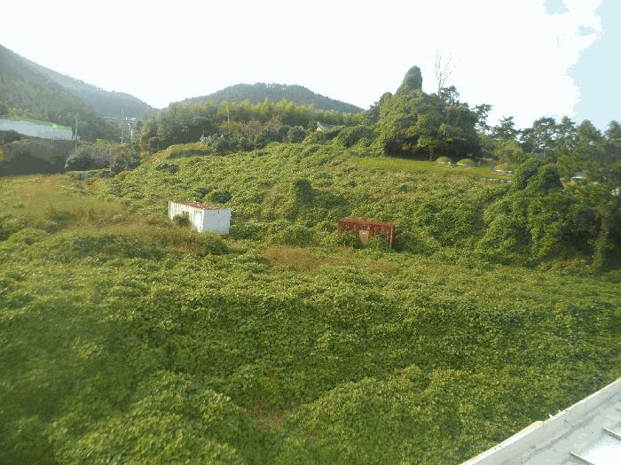 경상남도 거제시 장목면 관포리 119-2 전 경매 사진 3