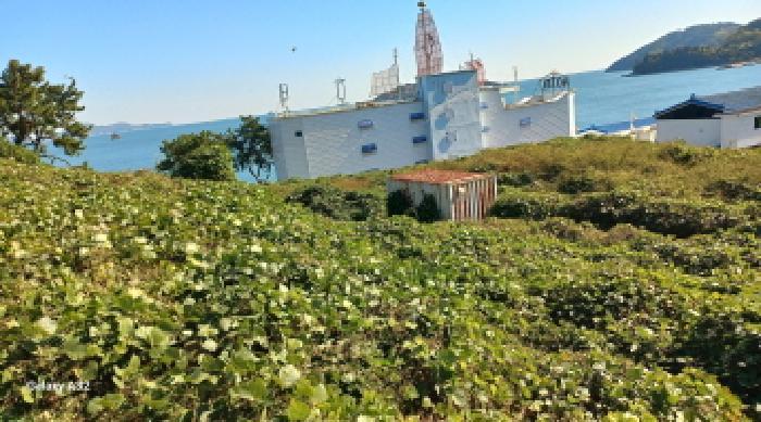 경상남도 거제시 장목면 관포리 119-2 전 경매 사진 9