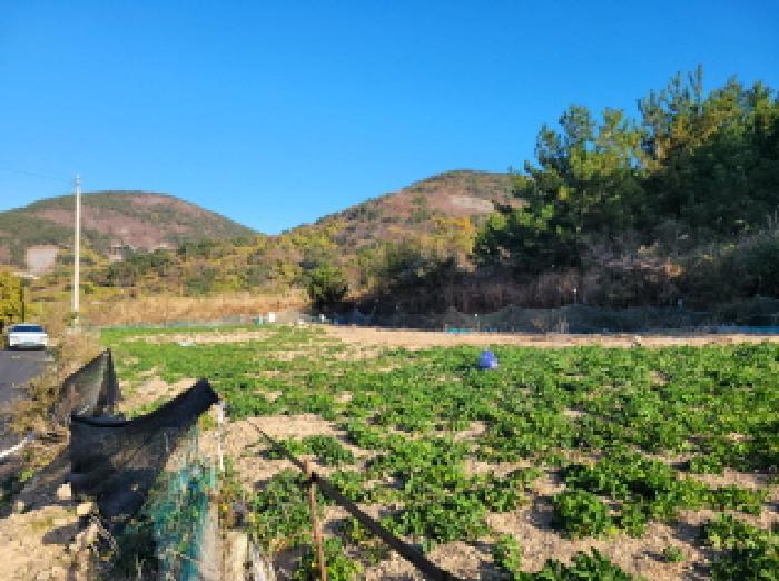전라남도 여수시 남면 두모리 873 전 경매 사진 4