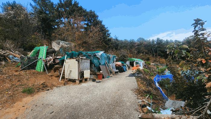 전라남도 여수시 돌산읍 평사리 산377-1 임야 경매 사진 2