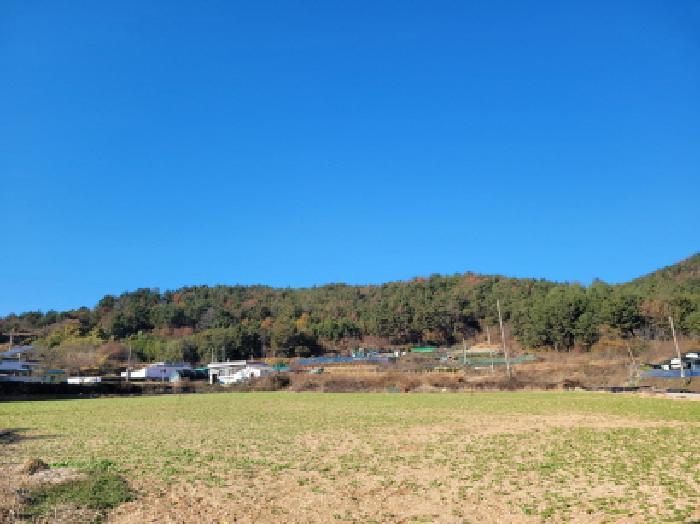 전라남도 여수시 돌산읍 평사리 산377-1 임야 경매 사진 5