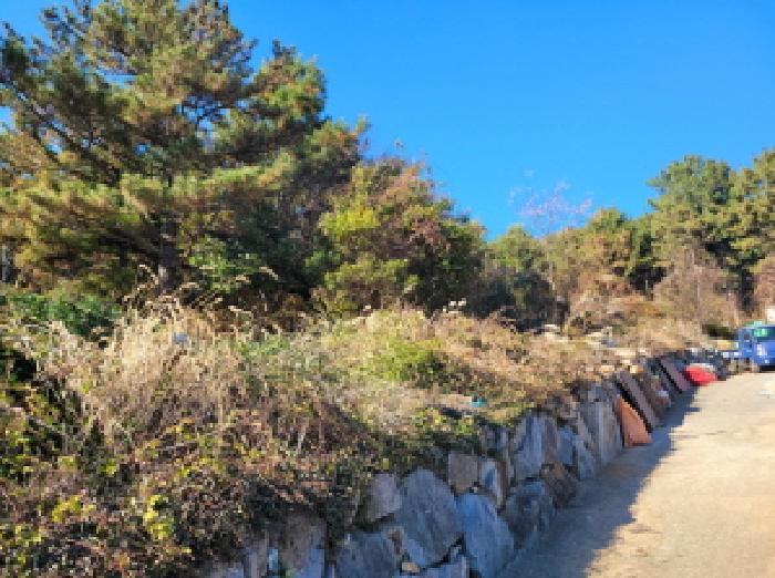 전라남도 여수시 돌산읍 평사리 산377-1 임야 경매 사진 8