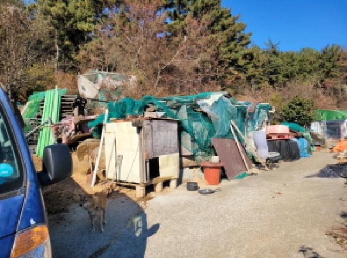 전라남도 여수시 돌산읍 평사리 산377-1 임야 경매 사진 9
