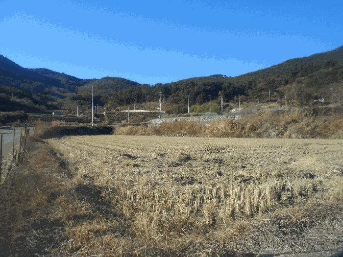 경상남도 거제시 둔덕면 거림리 264-1 답 경매 사진 2