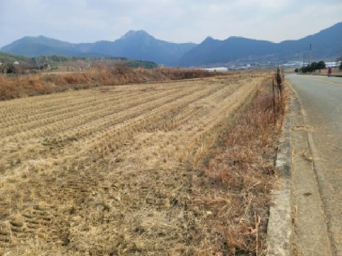 경상남도 거제시 둔덕면 거림리 264-1 답 경매 사진 3