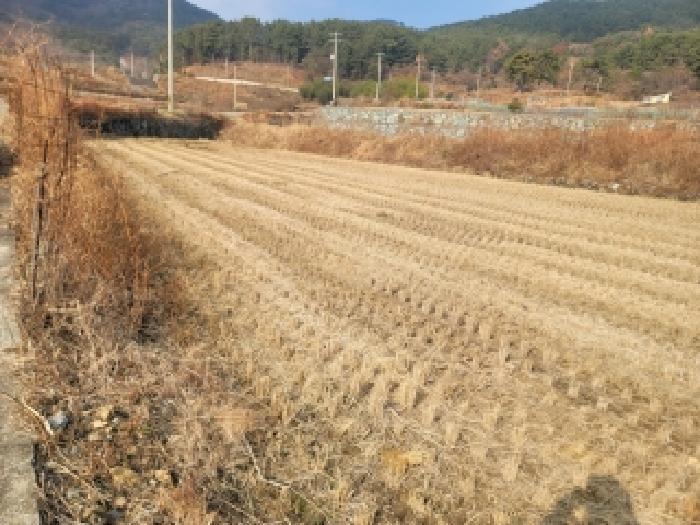 경상남도 거제시 둔덕면 거림리 264-1 답 경매 사진 4