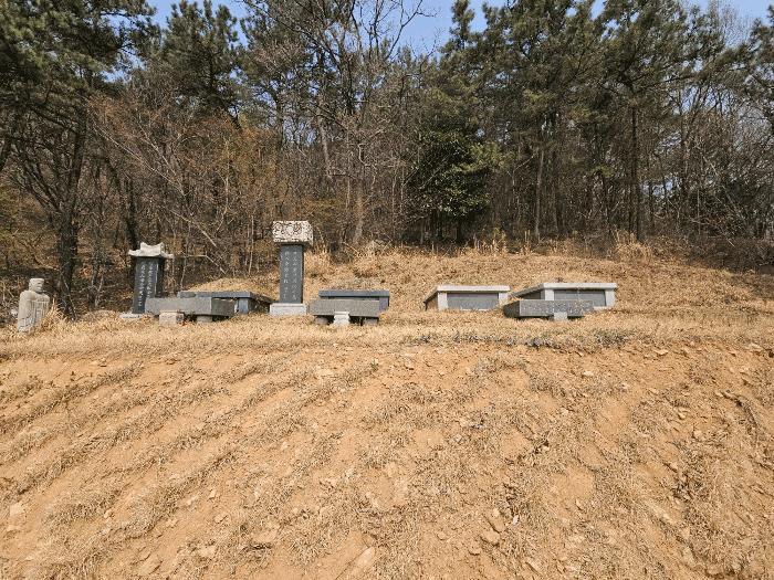 전라남도 장흥군 안양면 수문리 313-8 답 경매 사진 9