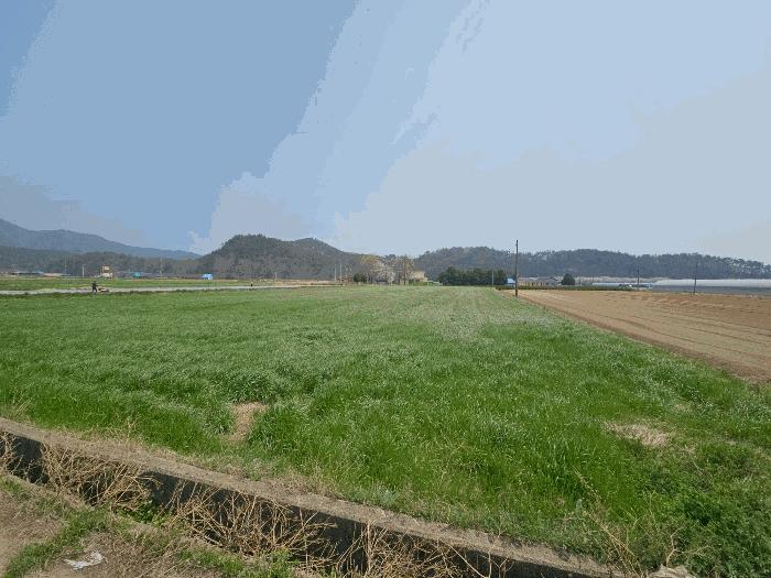 전라남도 장흥군 안양면 수문리 306-18 답 경매 사진 13