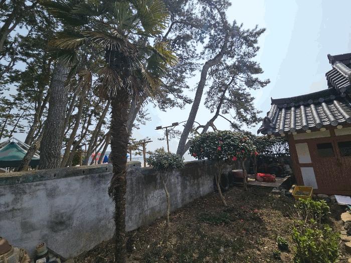 전라남도 장흥군 안양면 수문리 306-18 답 경매 사진 18