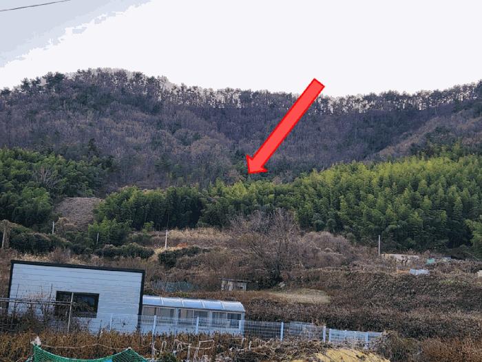경상남도 거제시 장목면 외포리 1424 답 경매 사진 4